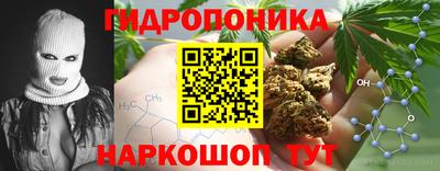 скорость Краснознаменск