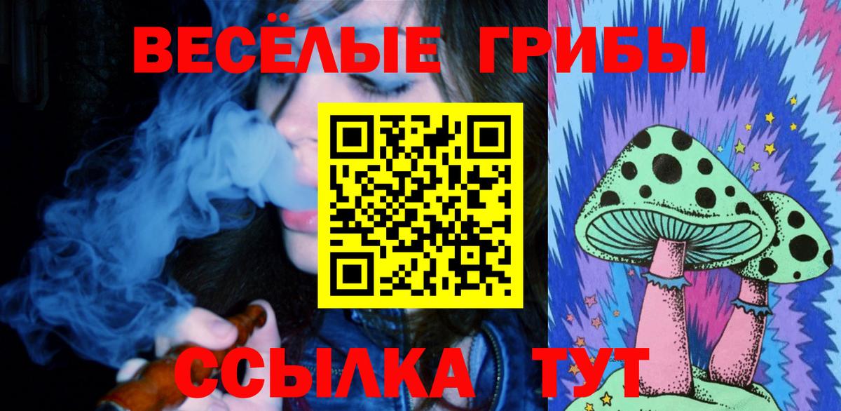 Псилоцибиновые грибы Psilocybe Конаково