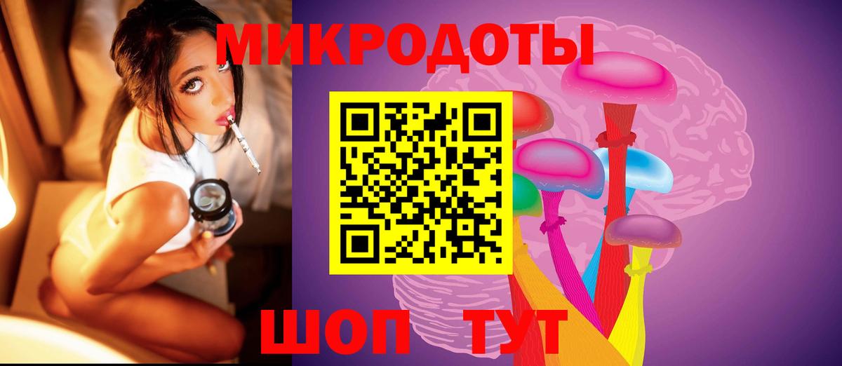 Конаково  Псилоцибиновые грибы Psilocybe  Вход с VPN  Псилоцибиновые грибы Psilocybe 